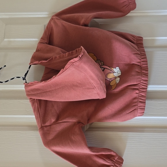 NICKELODEON BRAND MAUVE PAW PATROL FRONT ZIPPER HOODED JACKET SIZE 1-2 YEAR OLD - Picture 9 of 13